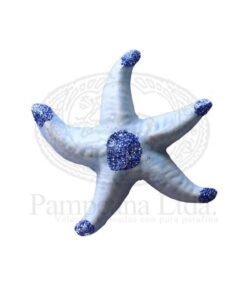 Estrella de mar de ceramica