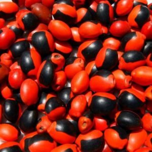 Semillas de ojo de cabure grande