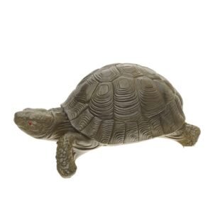 Tortuga de la suerte