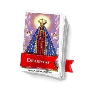 Nuestra señora Aparecida