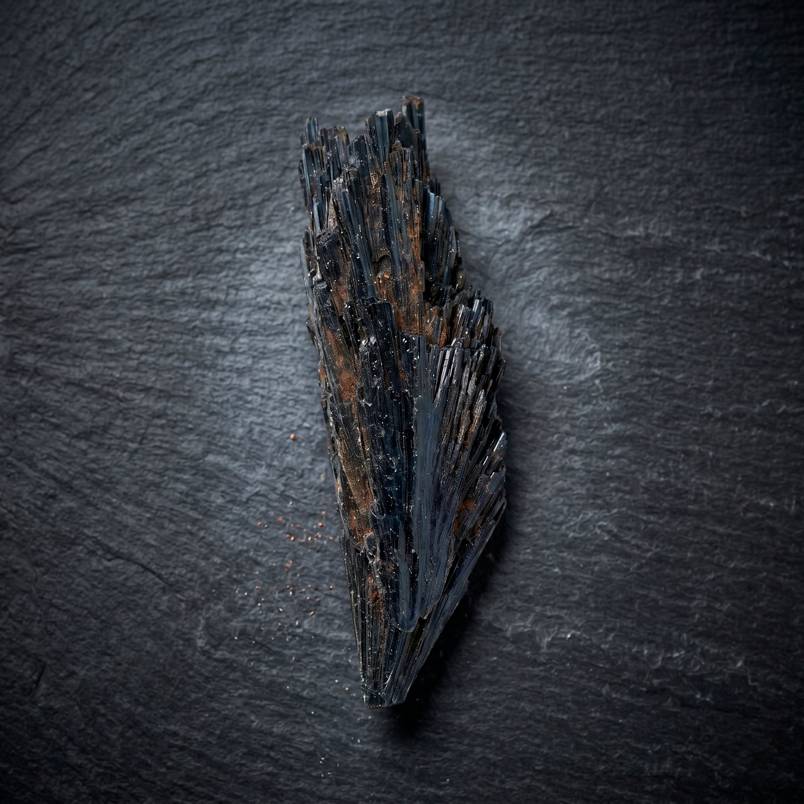 Cianita Negra (Escoba de Bruja)