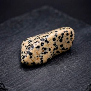 Jaspe Dalmata